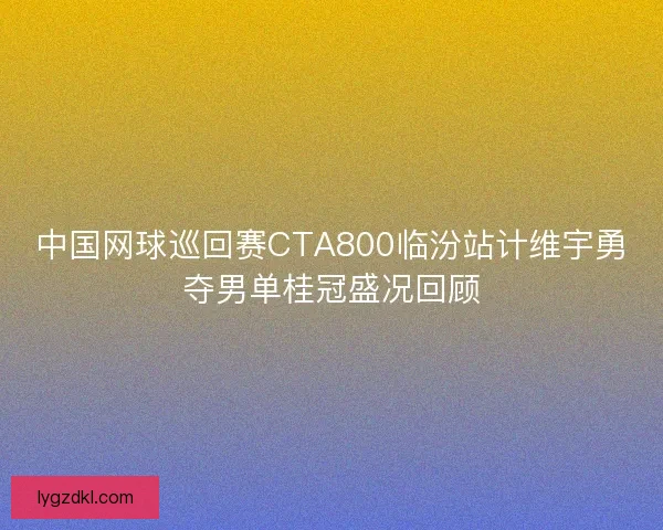 中国网球巡回赛CTA800临汾站计维宇勇夺男单桂冠盛况回顾